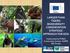 LARGER THAN TIGERS: BIODIVERSITY CONSERVATION STRATEGIC APPROACH FOR ASIA. Implemented by Wildlife Conservation Society; AGRER, B&S Europe