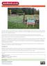Ghillie Wood - SOLD, Aberdeenshire - About 4 ½ acres, 29,000