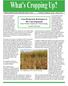What's Cropping Up? Corn Rootworm Resistance to BT-Corn Reported Elson Shields, Department of Entomology, Cornell University