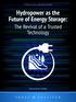 Hydropower as the Future of Energy Storage: