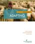 A Planning Guide ADAPTING TO A CHANGING CLIMATE. David Schmidt Elizabeth Whitefield David Smith