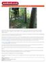 Knights Templar Wood - SOLD, Essex - About 3 ½ acres, 39,000