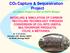 CO2 Capture & Sequestration Project An Impact Project of DST at RGPV Bhopal