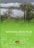 NATIONAL REDD PLUS STRATEGY. Ministry of Natural Resources and Environment (NRE)
