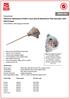 ENGLISH Datasheet Platinum Resistance Pt100 4 wire class B Resistance Thermometer with DIN B Head