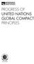 PROGRESS OF UNITED NATIONS GLOBAL COMPACT PRINCIPLES