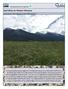 Seed Mixes for Western Montana