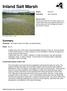 Inland Salt Marsh. Summary. Protection Not listed in New York State, not listed federally. Rarity G2, S1
