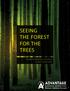 seeing the forest For the trees Navigating Marketing Frustrations to Meet Custom Goals