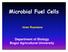 Microbial Fuel Cells. Iman Rusmana. Department of Biology Bogor Agricultural University