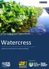 Industry Guide to Good Hygiene Practice. Watercress. Regulation (EC) No 852/2004 on the hygiene of foodstuffs. Recognised by