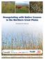 Revegetating with Native Grasses in the Northern Great Plains