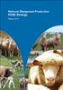 National Sheepmeat Production. RD&E Strategy. January 2010