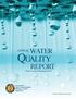 WATER REPORT. Presented By Town of New Windsor George A. Green, Supervisor. PWS ID#: Riley Road: NY