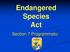 Endangered Species Act. Section 7 Programmatic