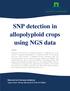 SNP detection in allopolyploid crops