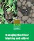 Managing the risk of blackleg and soft rot