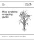 Rice systems cropping guide