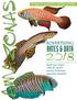 FRESHWATER AQUARIUMS & TROPICAL DISCOVERY ADVERTISING RATES & DATA. Build your brand with the world s premier freshwater aquarium magazine