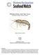 Whiteleg Shrimp, Giant Tiger Prawn Litopenaeus vannamei, Penaeus monodon