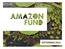 What is the Amazon Fund?