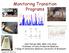 Monitoring Transition Programs