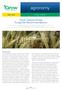 South Dakota Wheat Fungicide Recommendations