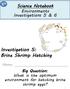 Investigation 5: Brine Shrimp Hatching