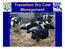 Transition Dry Cow Management