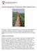 Nutrient Management of Subsurface Drip Irrigated Cotton