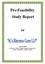 Pre-Feasibility Study Report