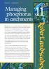 phosphorus in catchments