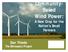 Community- Based Wind Power: