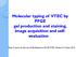 Molecular typing of VTEC by PFGE gel production and staining, image acquisition and selfevaluation