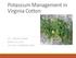 Potassium Management in Virginia Cotton
