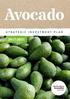 Avocado STRATEGIC INVESTMENT PLAN
