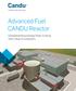 Advanced Fuel CANDU Reactor. Complementing existing fleets to bring more value to customers