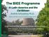 The BIEE Programme. in Latin America and the Caribbean. Andrés Schuschny Ph.D. Natural Resources and Energy Unit