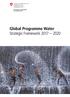 Global Programme Water Strategic Framework