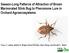 Season-Long Patterns of Attraction of Brown Marmorated Stink Bug to Pheromone Lure in Orchard Agroecosystems