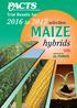 Trial Results for 2016 to 2017 selection MAIZE. hybrids