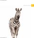 RFID from Zebra. The smart one.