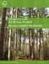 TRANSITION TO A NEW NATIONAL FOREST MANAGEMENT STANDARD