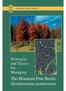 KAMLOOPS FOREST REGION. Strategies and Tactics for Managing. The Mountain Pine Beetle Dendroctonus ponderosae