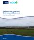 Harbourcross Wind Farm Environmental StatementPl. Non-Technical Summary