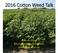 2016 Cotton Weed Talk