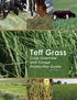 Crop Overview and Forage Production Guide. A guide for producers, extension, educators and seed marketers.