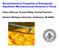 Nanomechanical Properties of Biologically Significant Microstructural Elements of Wood