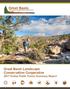 Great Basin Landscape Conservation Cooperative 2017 Online Public Forum Summary Report