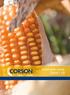 maize grain guide 2009 / 10